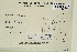  ( - CCDB-25692-D05)  @11 [ ] CreativeCommons - Attribution Non-Commercial Share-Alike (2018) Masha L. Kuzmina Canadian Centre for DNA Barcoding