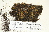  ( - CCDB-25692-D09)  @11 [ ] CreativeCommons - Attribution Non-Commercial Share-Alike (2018) Masha L. Kuzmina Canadian Centre for DNA Barcoding