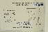  ( - CCDB-25692-E05)  @11 [ ] CreativeCommons - Attribution Non-Commercial Share-Alike (2018) Masha L. Kuzmina Canadian Centre for DNA Barcoding