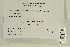  (Didymodon subandreaeoides - CCDB-25692-E10)  @11 [ ] CreativeCommons - Attribution Non-Commercial Share-Alike (2018) Masha L. Kuzmina Canadian Centre for DNA Barcoding