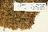  ( - CCDB-25692-F01)  @11 [ ] CreativeCommons - Attribution Non-Commercial Share-Alike (2018) Masha L. Kuzmina Canadian Centre for DNA Barcoding