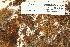  ( - CCDB-25692-G05)  @11 [ ] CreativeCommons - Attribution Non-Commercial Share-Alike (2018) Masha L. Kuzmina Canadian Centre for DNA Barcoding