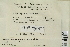  ( - CCDB-25692-G05)  @11 [ ] CreativeCommons - Attribution Non-Commercial Share-Alike (2018) Masha L. Kuzmina Canadian Centre for DNA Barcoding