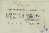  ( - CCDB-25692-G09)  @11 [ ] CreativeCommons - Attribution Non-Commercial Share-Alike (2018) Masha L. Kuzmina Canadian Centre for DNA Barcoding
