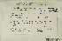  ( - CCDB-25692-G11)  @11 [ ] CreativeCommons - Attribution Non-Commercial Share-Alike (2018) Masha L. Kuzmina Canadian Centre for DNA Barcoding