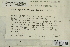  ( - CCDB-25692-H11)  @11 [ ] CreativeCommons - Attribution Non-Commercial Share-Alike (2018) Masha L. Kuzmina Canadian Centre for DNA Barcoding