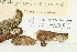  ( - CCDB-25693-A03)  @11 [ ] CreativeCommons - Attribution Non-Commercial Share-Alike (2018) Masha L. Kuzmina Canadian Centre for DNA Barcoding