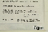  ( - CCDB-25693-A03)  @11 [ ] CreativeCommons - Attribution Non-Commercial Share-Alike (2018) Masha L. Kuzmina Canadian Centre for DNA Barcoding
