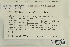  ( - CCDB-25693-D08)  @11 [ ] CreativeCommons - Attribution Non-Commercial Share-Alike (2018) Masha L. Kuzmina Canadian Centre for DNA Barcoding