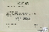  (Grimmia anomala - CCDB-25693-E02)  @11 [ ] CreativeCommons - Attribution Non-Commercial Share-Alike (2018) Masha L. Kuzmina Canadian Centre for DNA Barcoding