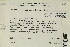  (Pseudoleskeella - CCDB-25694-A09)  @11 [ ] CreativeCommons - Attribution Non-Commercial Share-Alike (2018) Masha L. Kuzmina Canadian Centre for DNA Barcoding