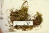  ( - CCDB-25694-B01)  @11 [ ] CreativeCommons - Attribution Non-Commercial Share-Alike (2018) Masha L. Kuzmina Canadian Centre for DNA Barcoding