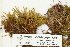  ( - CCDB-25694-C01)  @11 [ ] CreativeCommons - Attribution Non-Commercial Share-Alike (2018) Masha L. Kuzmina Canadian Centre for DNA Barcoding