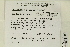  ( - CCDB-25694-C01)  @11 [ ] CreativeCommons - Attribution Non-Commercial Share-Alike (2018) Masha L. Kuzmina Canadian Centre for DNA Barcoding