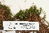  ( - CCDB-25694-C05)  @11 [ ] CreativeCommons - Attribution Non-Commercial Share-Alike (2018) Masha L. Kuzmina Canadian Centre for DNA Barcoding