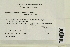  ( - CCDB-25694-C05)  @11 [ ] CreativeCommons - Attribution Non-Commercial Share-Alike (2018) Masha L. Kuzmina Canadian Centre for DNA Barcoding