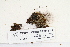  ( - CCDB-25694-D11)  @11 [ ] CreativeCommons - Attribution Non-Commercial Share-Alike (2018) Masha L. Kuzmina Canadian Centre for DNA Barcoding