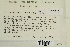  ( - CCDB-25694-E12)  @11 [ ] CreativeCommons - Attribution Non-Commercial Share-Alike (2018) Masha L. Kuzmina Canadian Centre for DNA Barcoding