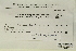  ( - CCDB-25694-F06)  @11 [ ] CreativeCommons - Attribution Non-Commercial Share-Alike (2018) Masha L. Kuzmina Canadian Centre for DNA Barcoding