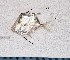  ( - SC-112)  @11 [ ] copyright © (2024) Thierry Fredou UFRPE-DEPAq