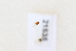  ( - RIBES_21535)  @11 [ ] CreativeCommons - Attribution Share-Alike (2024) Unspecified Canadian National Collection of Insects, Arachnids and Nematodes