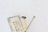  ( - CNC1559016)  @11 [ ] CreativeCommons - Attribution Share-Alike (2024) Unspecified Canadian National Collection of Insects, Arachnids and Nematodes