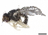  ( - BIOUG51566-A07)  @11 [ ] CreativeCommons - Attribution (2020) CBG Photography Group Centre for Biodiversity Genomics