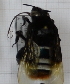  ( - 05664 F02-EnPS)  @11 [ ] CreativeCommons - Attribution Non-Commercial Share-Alike (2015) Unspecified Universidade Federal de Minas Gerais