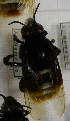  ( - 14487 D06-EnSOO)  @11 [ ] CreativeCommons - Attribution Non-Commercial Share-Alike (2015) Unspecified Universidade Federal de Minas Gerais