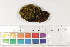  ( - CCDB-34698-C04)  @11 [ ] CreativeCommons - Attribution (2019) CBG Photography Group Centre for Biodiversity Genomics