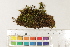  ( - CCDB-34698-D12)  @11 [ ] CreativeCommons - Attribution (2019) CBG Photography Group Centre for Biodiversity Genomics