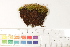 ( - CCDB-34698-F10)  @11 [ ] CreativeCommons - Attribution (2019) CBG Photography Group Centre for Biodiversity Genomics