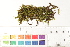  ( - CCDB-34698-G09)  @11 [ ] CreativeCommons - Attribution (2019) CBG Photography Group Centre for Biodiversity Genomics