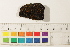  ( - CCDB-34698-H03)  @11 [ ] CreativeCommons - Attribution (2019) CBG Photography Group Centre for Biodiversity Genomics