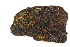  ( - CCDB-34698-H03)  @11 [ ] CreativeCommons - Attribution (2019) CBG Photography Group Centre for Biodiversity Genomics