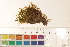  ( - CCDB-34700-E05)  @11 [ ] CreativeCommons - Attribution (2019) CBG Photography Group Centre for Biodiversity Genomics