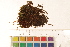  ( - CCDB-34700-F12)  @11 [ ] CreativeCommons - Attribution (2019) CBG Photography Group Centre for Biodiversity Genomics