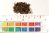  ( - CCDB-34700-G03)  @11 [ ] CreativeCommons - Attribution (2019) CBG Photography Group Centre for Biodiversity Genomics