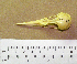  ( - AJB 5625)  @12 [ ] CreativeCommons - Attribution (2010) Unspecified Royal Ontario Museum