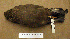  ( - MKP 1593)  @13 [ ] CreativeCommons - Attribution (2010) Unspecified Royal Ontario Museum