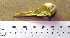  ( - MKP 2550)  @12 [ ] CreativeCommons - Attribution (2010) Unspecified Royal Ontario Museum