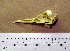  ( - MKP 1619)  @12 [ ] CreativeCommons - Attribution (2010) Unspecified Royal Ontario Museum