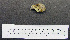  ( - 1B-957)  @12 [ ] CreativeCommons - Attribution (2010) Unspecified Royal Ontario Museum