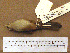  ( - 1B-127)  @13 [ ] CreativeCommons - Attribution (2010) Unspecified Royal Ontario Museum