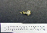  ( - JCB 5340)  @11 [ ] CreativeCommons - Attribution (2010) Unspecified Royal Ontario Museum