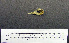  ( - JCB 5340)  @11 [ ] CreativeCommons - Attribution (2010) Unspecified Royal Ontario Museum