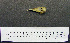  ( - 1B-2593)  @12 [ ] CreativeCommons - Attribution (2010) Unspecified Royal Ontario Museum