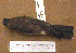  ( - AJB 5645)  @14 [ ] CreativeCommons - Attribution (2010) Unspecified Royal Ontario Museum