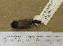  ( - MKP 1482)  @13 [ ] CreativeCommons - Attribution (2010) Unspecified Royal Ontario Museum