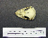  ( - AJB 5623)  @13 [ ] CreativeCommons - Attribution (2010) Unspecified Royal Ontario Museum